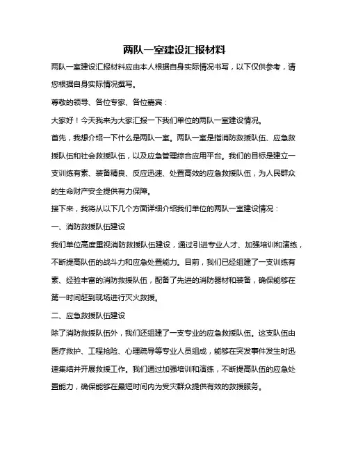 两队一室建设汇报材料