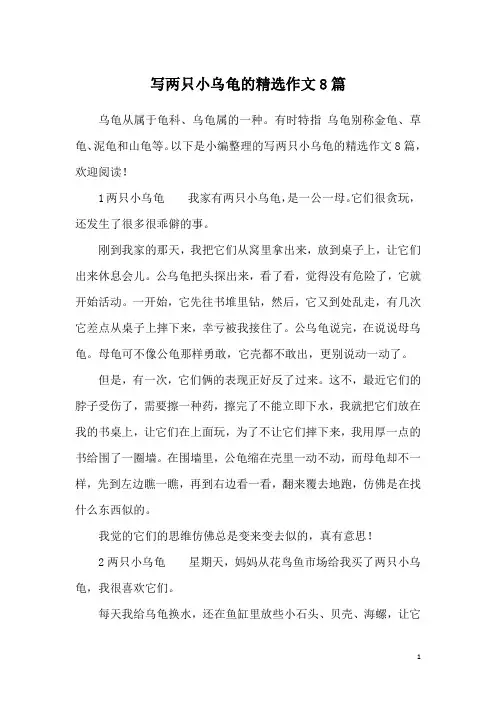 写两只小乌龟的精选作文8篇