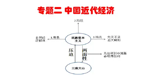 年艺考生高考历史中国近代经济史专题复习公开课PPT