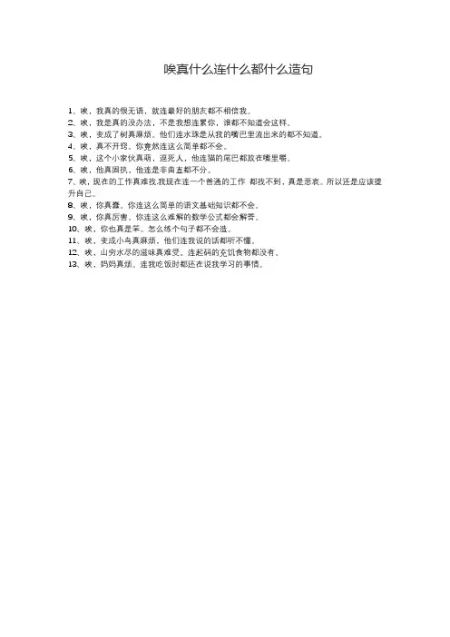 唉真什么连什么都什么造句