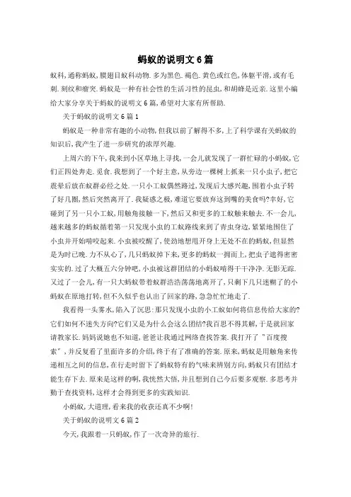 蚂蚁的说明文6篇