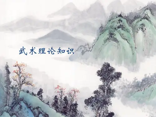 武术专项理论