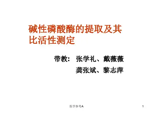 实验 碱性磷酸酶的提取及其比活性测定【参考仅供】