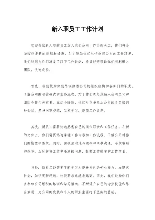 新入职员工工作计划