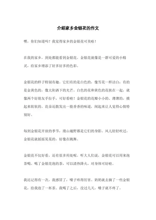 介绍家乡金银花的作文