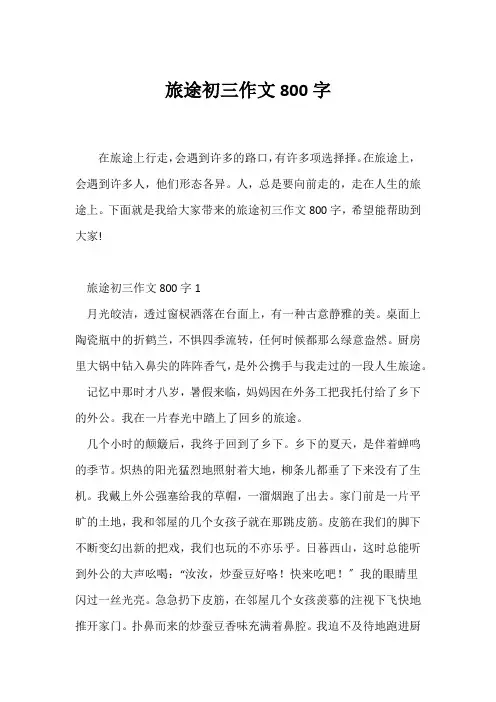 (初三作文)旅途初三作文800字