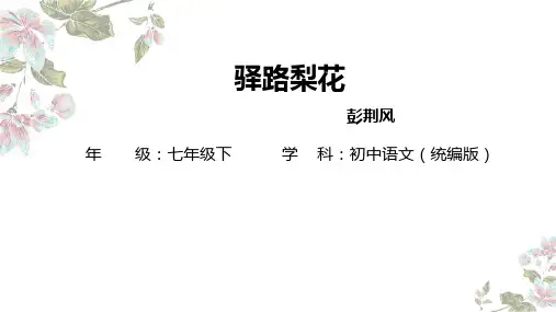 《驿路梨花》ppt课件