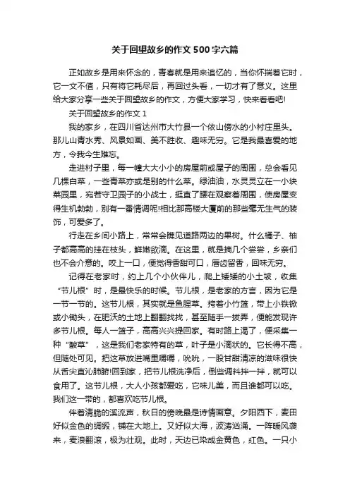 关于回望故乡的作文500字六篇