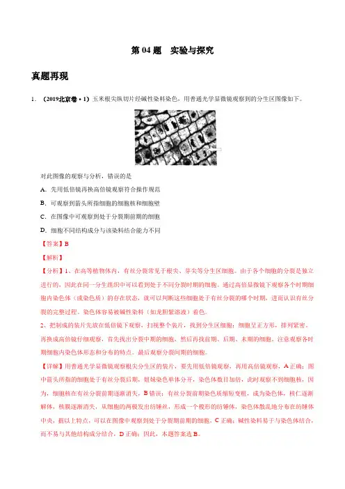 2020年高考生物选择题专项训练 第04题 实验与探究(解析版)