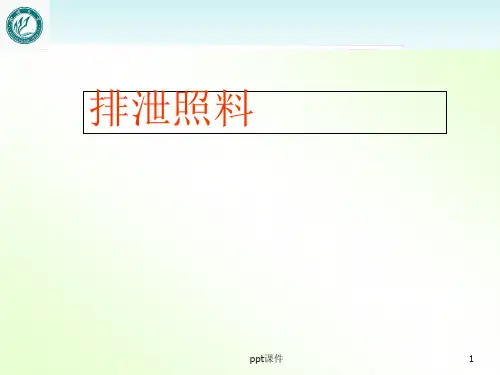 老年护理--排泄照料  ppt课件