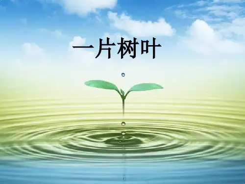 北师大版小学语文二年级下册课件：《一片树叶》课件(1)