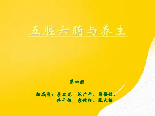 五脏六腑与养生优秀PPT资料