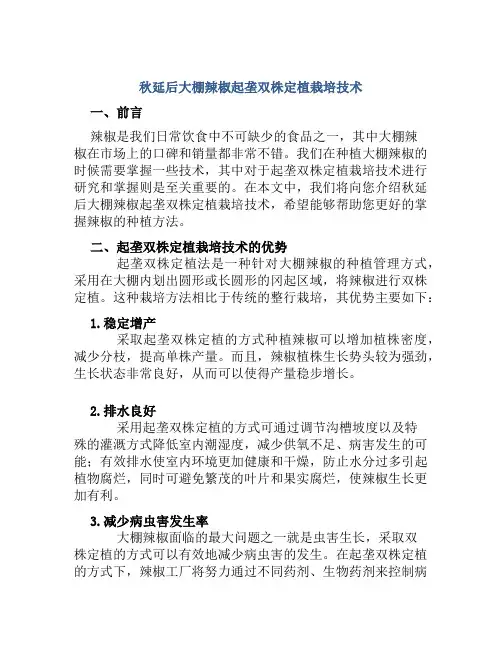 秋延后大棚辣椒起垄双株定植栽培技术