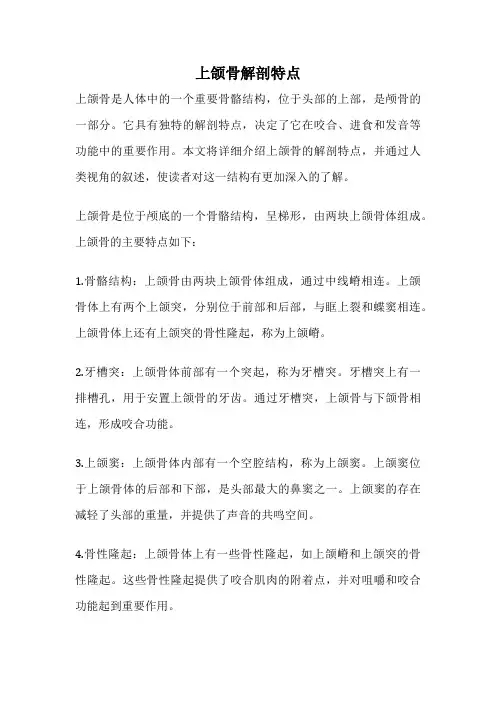 上颌骨解剖特点