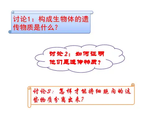 DNA的提取与鉴定讲解ppt课件