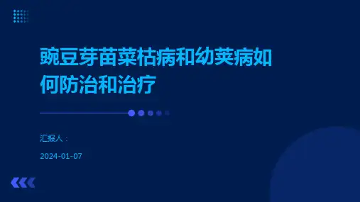 豌豆芽苗菜枯病和幼荚病如何防治和治疗