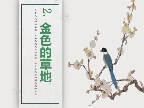小学三年级语文《金色的草地》课件