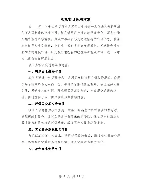 电视节目策划方案（六篇）