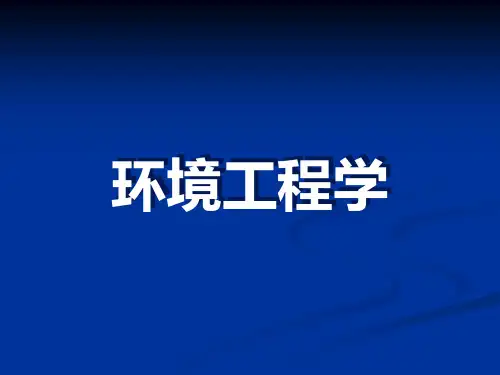 水质与水体自净