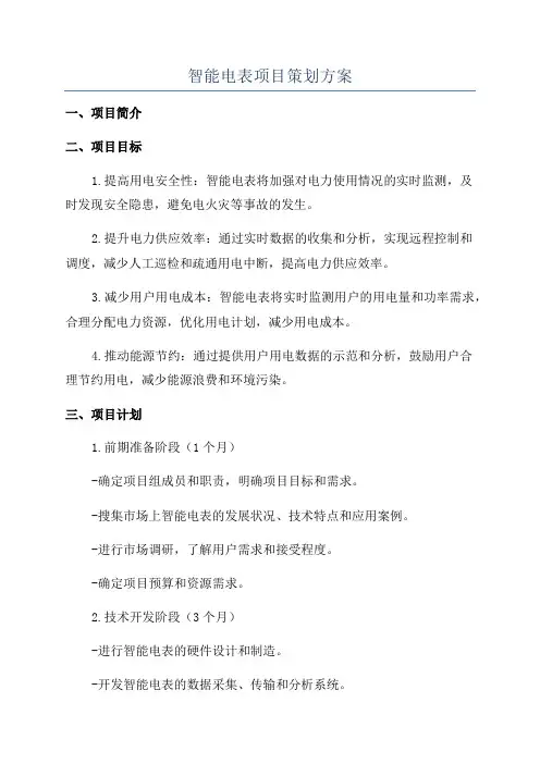 智能电表项目策划方案