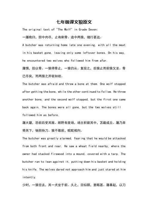 七年级课文狼原文