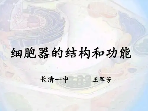细胞器的结构和功能ppt2 优秀课件