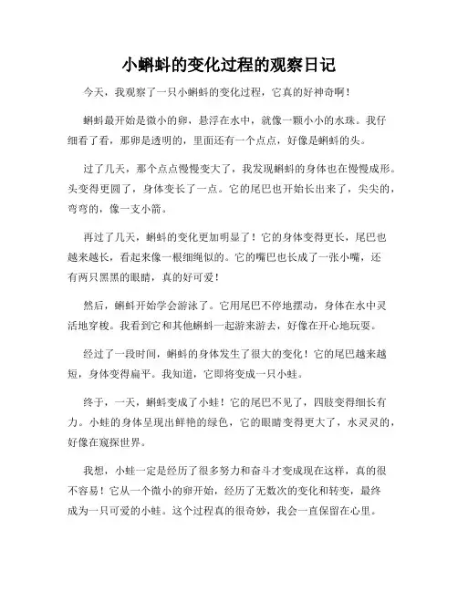 小学三年级作文小蝌蚪的变化过程的观察日记