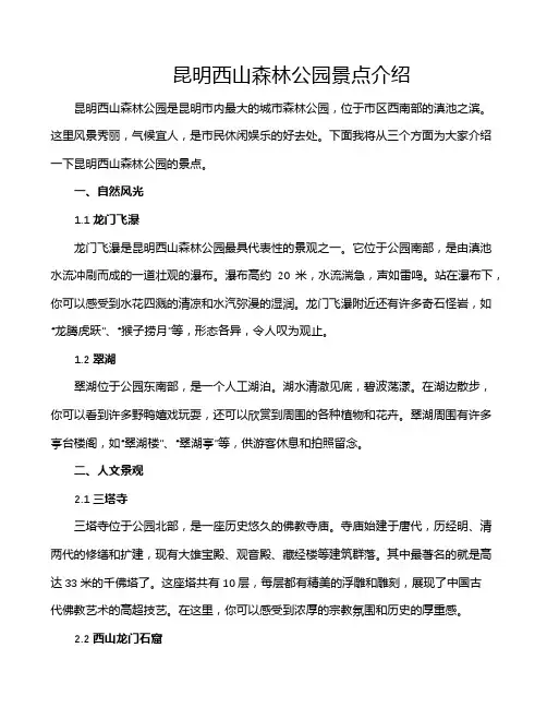 昆明西山森林公园景点介绍