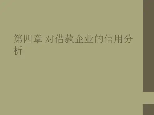 对借款企业的信用分析培训课件(PPT 47页)