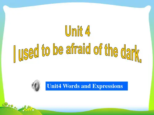 人教版九年级Unit 4 Section A 1 1a~2d教学课件 (共49张PPT)