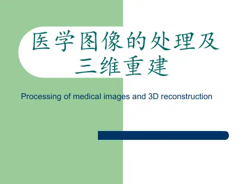 医学图像的处理及三维重建  PPT课件