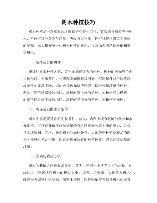 树木种植技巧