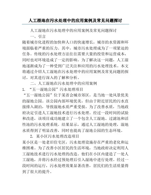 人工湿地在污水处理中的应用案例及常见问题探讨