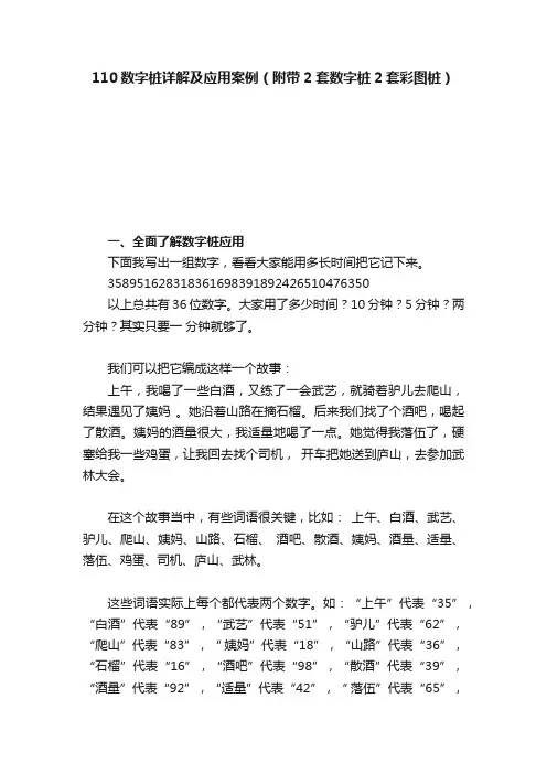 110数字桩详解及应用案例（附带2套数字桩2套彩图桩）