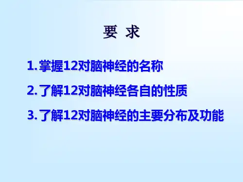 脑神经