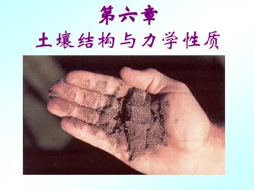 第六章 土壤结构与力学性质