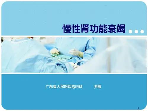 慢性肾功能衰竭PPT课件