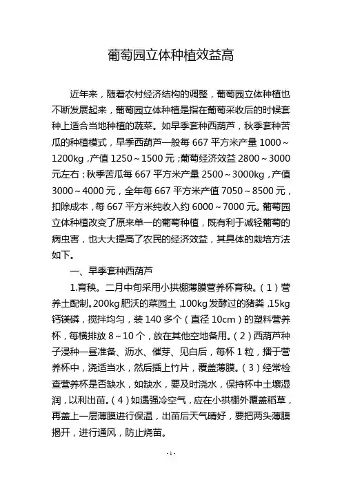 葡萄园立体种植效益高