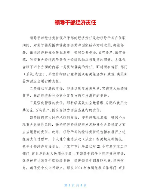 领导干部经济责任