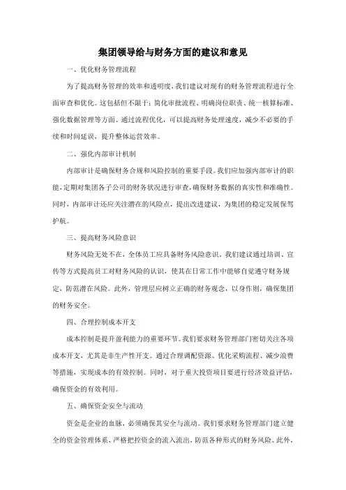 集团领导给与财务方面的建议和意见