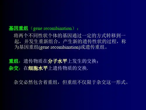 微生物遗传-幻灯片
