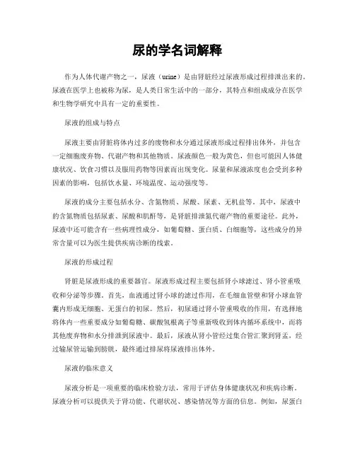尿的学名词解释