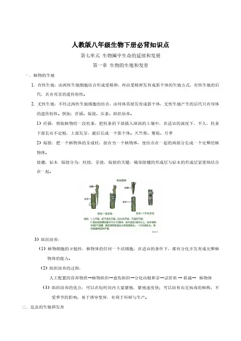 初中八下册生物必背知识点整理