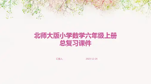 北师大版小学数学六年级上册总复习课件