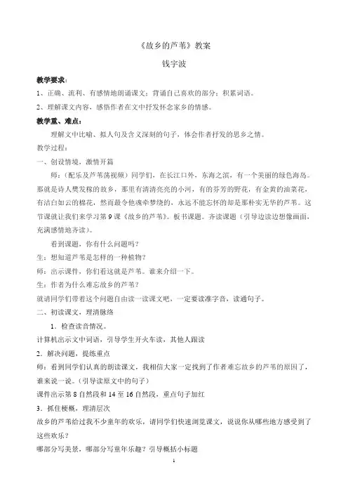 《故乡的芦苇》教案