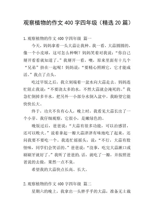 观察植物的作文400字四年级(精选20篇)