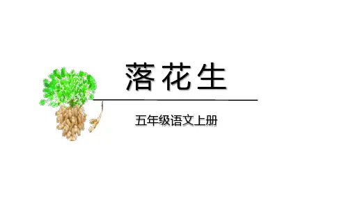 统编版五年级语文上册2《落花生》课件(共30张PPT)
