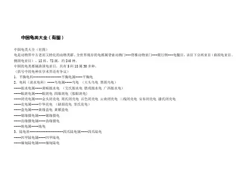 中国龟类大全