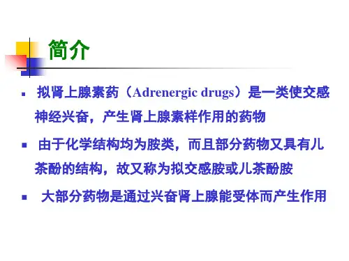 肾上腺素受体激动剂ppt课件