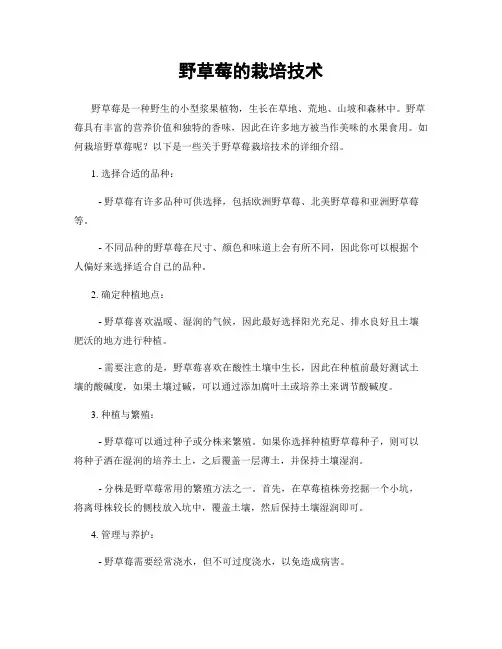 野草莓的栽培技术